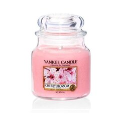 Lõhnaküünal Yankee Candle Medium Jar Cherry Blossom 411 g hind ja info | Küünlad, küünlajalad | kaup24.ee