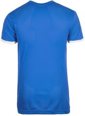 T-särk teismelistele Puma Pitch Shortsleeved Shirt Blue цена и информация | Рубашки для мальчиков | kaup24.ee