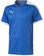 T-särk teismelistele Puma Pitch Shortsleeved Shirt Blue hind ja info | Poiste särgid | kaup24.ee