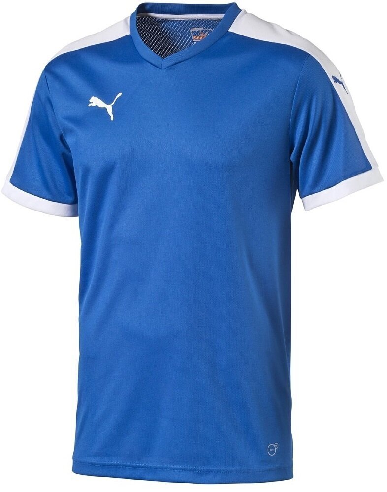 T-särk teismelistele Puma Pitch Shortsleeved Shirt Blue цена и информация | Poiste särgid | kaup24.ee