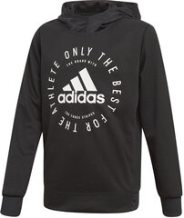 Джемпер для подростков Adidas Yb Sid Po Black цена и информация | Свитеры, жилетки, пиджаки для мальчиков | kaup24.ee