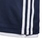 Korvpalli T-särk teismelistele Adidas 3G Spee Rev Jrs Blue White цена и информация | Poiste särgid | kaup24.ee