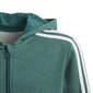 Dressipluus teismelistele Adidas Yb 3S Fz Hoodie Green цена и информация | Poiste kampsunid, vestid ja jakid | kaup24.ee