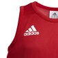 T-särk teismelistele Adidas 3G Spee Rev Jrs Red White цена и информация | Poiste särgid | kaup24.ee