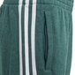 Püksid teismelistele Adidas Yb 3s Ft Pant Green hind ja info | Poiste püksid | kaup24.ee