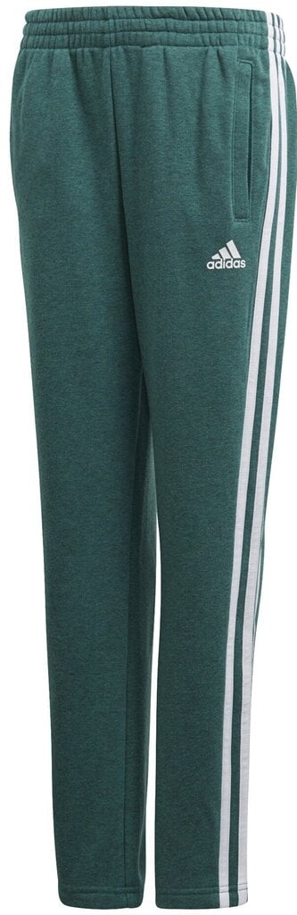 Püksid teismelistele Adidas Yb 3s Ft Pant Green hind ja info | Poiste püksid | kaup24.ee