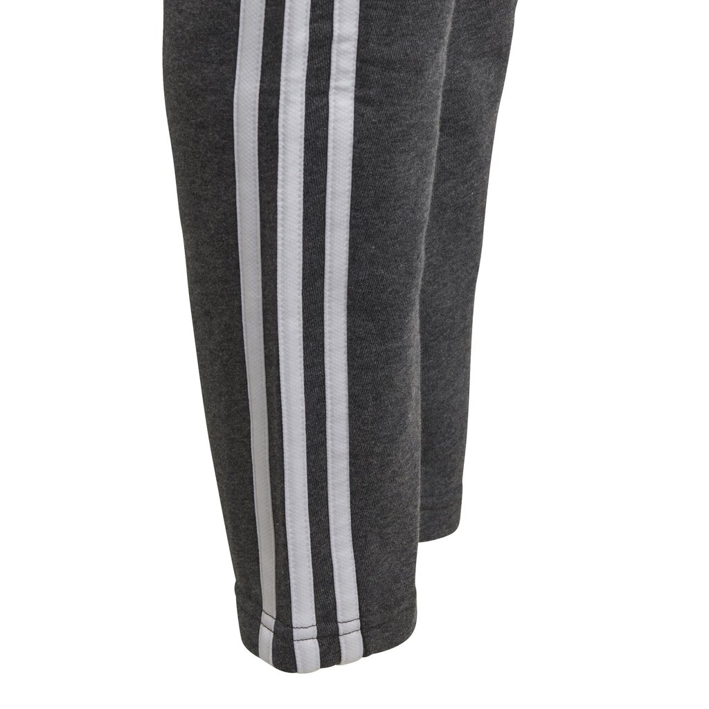 Püksid teismelistele Adidas Yb 3S Ft Pants Grey hind ja info | Tüdrukute retuusid, püksid | kaup24.ee