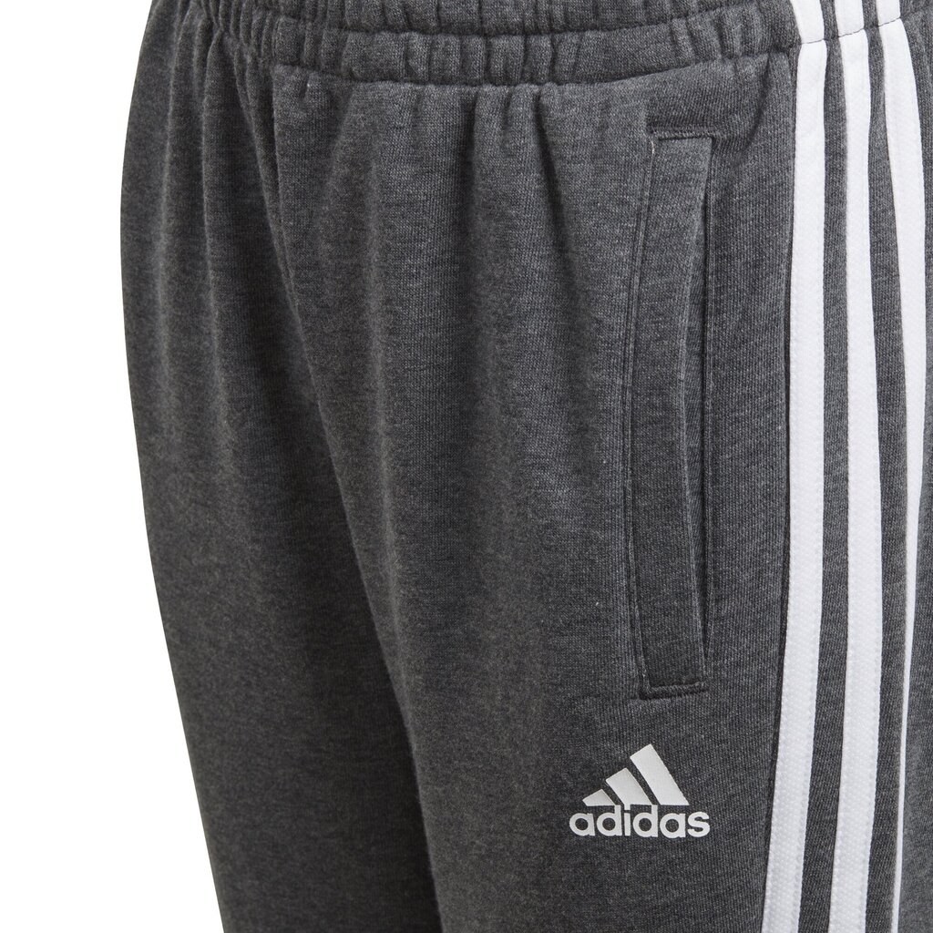 Püksid teismelistele Adidas Yb 3S Ft Pants Grey цена и информация | Tüdrukute retuusid, püksid | kaup24.ee