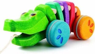 Игрушка на веревочке PlanToys "Rainbow Alligator" цена и информация | Drewniana Wieża Piramida Kura Nakładanie Kolorowych Kwadratów LD-15 15276 | kaup24.ee