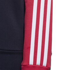 Adidas Džemprid W E Cb Fl Oh Hd Pink Blue цена и информация | Женские толстовки | kaup24.ee