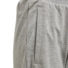 Püksid teismelistele Adidas Yg Taperes Pants Grey hind ja info | Tüdrukute retuusid, püksid | kaup24.ee