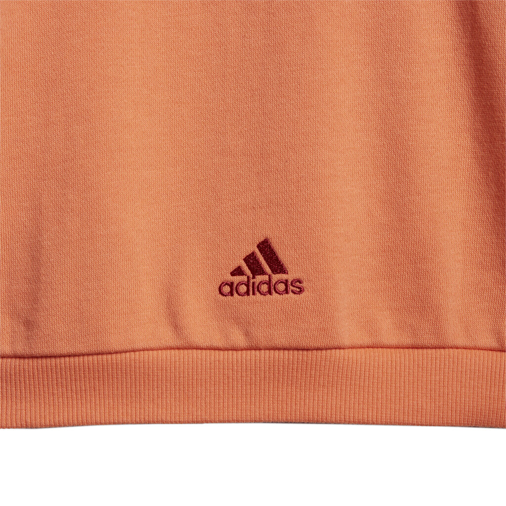 Spordidressid Adidas I Graph Jog Ft Red Coral hind ja info | Komplektid poistele | kaup24.ee