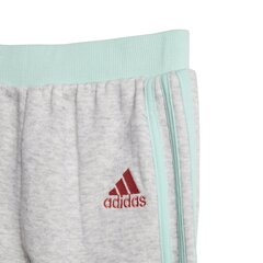 Spordidress lastele Adidas I Graph Ft Mint Grey цена и информация | Комплекты для девочек | kaup24.ee