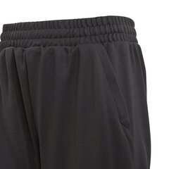 Püksid teismelistele Adidas Yb Lightweight Striker Pants Black hind ja info | Poiste püksid | kaup24.ee