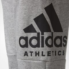 Adidas Штаны для подростков Yb Sid Pants Grey цена и информация | Шорты для мальчиков | kaup24.ee