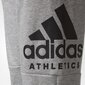 Püksid teismelistele Adidas Yb Sid Pants Grey цена и информация | Poiste püksid | kaup24.ee