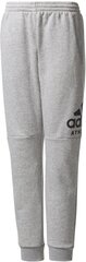 Püksid teismelistele Adidas Yb Sid Pants Grey hind ja info | Poiste püksid | kaup24.ee