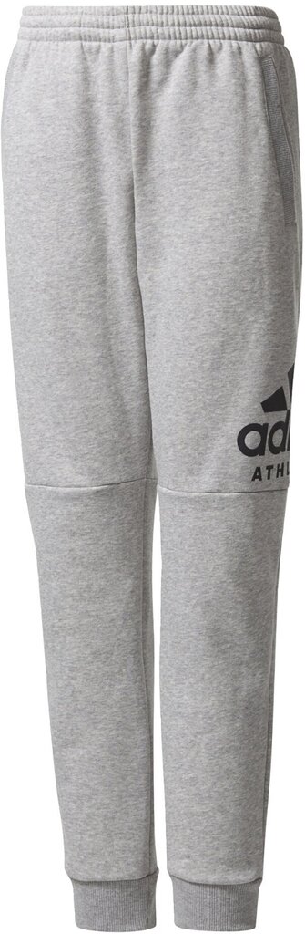 Püksid teismelistele Adidas Yb Sid Pants Grey цена и информация | Poiste püksid | kaup24.ee
