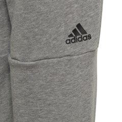 Püksid teismelistele Adidas ID Lin Pants Grey цена и информация | Шорты для мальчиков | kaup24.ee