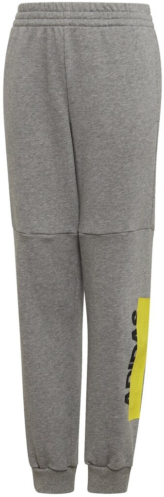 Püksid teismelistele Adidas ID Lin Pants Grey hind ja info | Poiste püksid | kaup24.ee