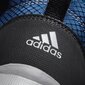 Jalanõud teismelistele Adidas Hyperhiker K Blue цена и информация | Laste saapad | kaup24.ee