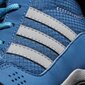 Jalanõud teismelistele Adidas Hyperhiker K Blue hind ja info | Laste saapad | kaup24.ee