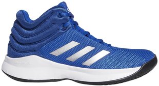 Jalanõud teismelistele Adidas Pro Spark 2018 K Blue hind ja info | Laste spordijalatsid | kaup24.ee