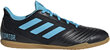 Jalanõud Adidas Predator 19.4 In Sa Black Blue hind ja info | Jalgpallijalatsid | kaup24.ee