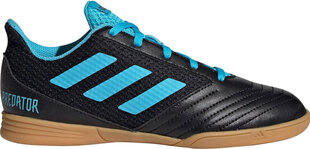 Jalanõud Adidas Predator 19.4 In Sa Black Blue цена и информация | Детская спортивная обувь | kaup24.ee