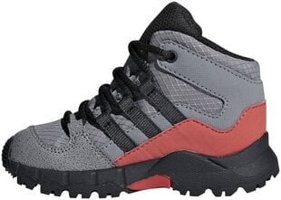 Adidas Детская обувь Terrex Mid Gtx Grey цена и информация | Детские сапоги | kaup24.ee