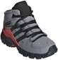 Jalanõud lastele Adidas Terrex Mid Gtx Grey hind ja info | Laste saapad | kaup24.ee