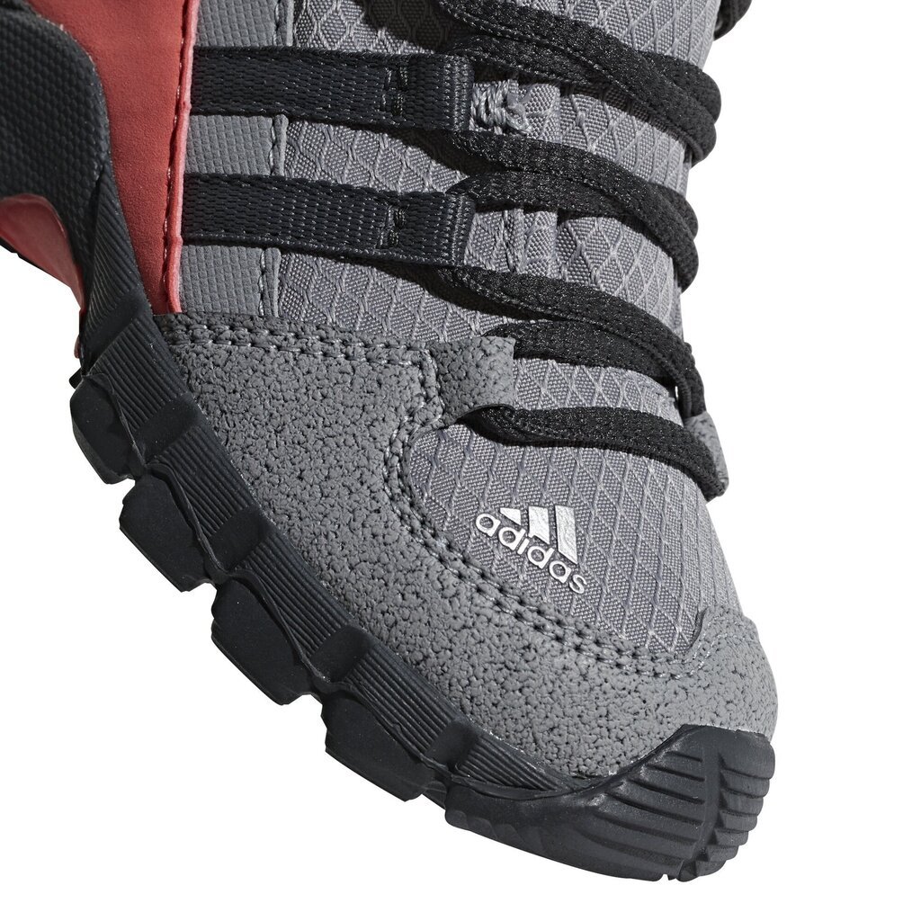 Jalanõud lastele Adidas Terrex Mid Gtx Grey hind ja info | Laste saapad | kaup24.ee