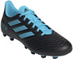 Jalanõud Adidas Predator 19.4 FxG Black Blue hind ja info | Jalgpallijalatsid | kaup24.ee