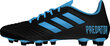 Jalanõud Adidas Predator 19.4 FxG Black Blue hind ja info | Jalgpallijalatsid | kaup24.ee