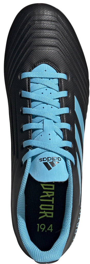 Jalanõud Adidas Predator 19.4 FxG Black Blue hind ja info | Jalgpallijalatsid | kaup24.ee