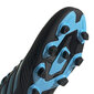 Jalanõud Adidas Predator 19.4 FxG Black Blue hind ja info | Jalgpallijalatsid | kaup24.ee