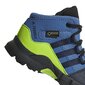 Jalanõud lastele Adidas Terrex Mid Gtx Blue цена и информация | Laste saapad | kaup24.ee