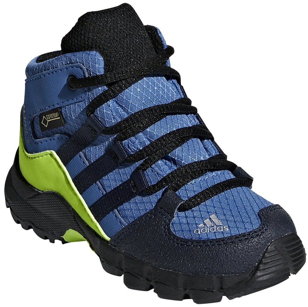 Jalanõud lastele Adidas Terrex Mid Gtx Blue цена и информация | Laste saapad | kaup24.ee