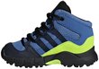 Jalanõud lastele Adidas Terrex Mid Gtx Blue цена и информация | Laste saapad | kaup24.ee