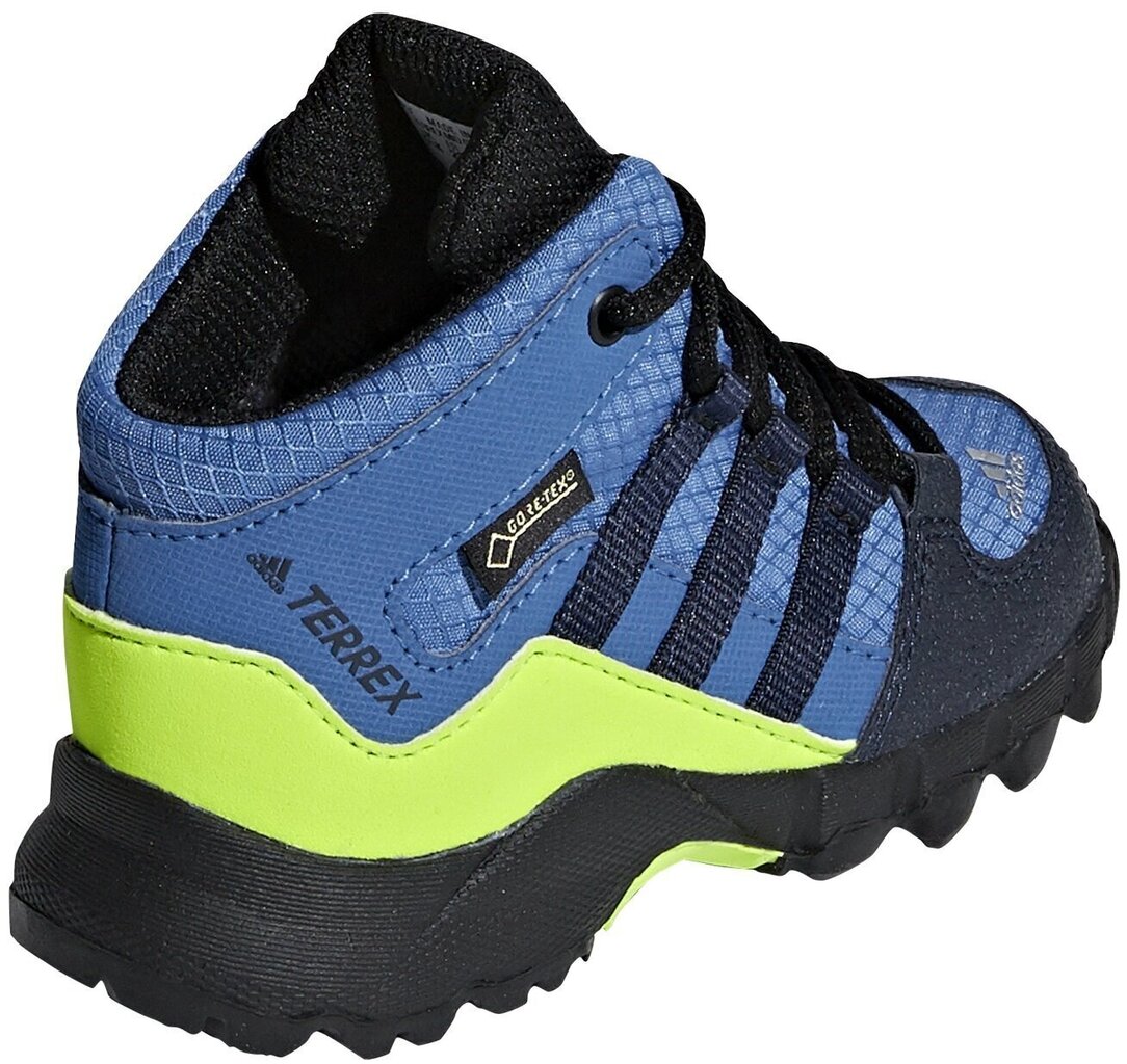 Jalanõud lastele Adidas Terrex Mid Gtx Blue цена и информация | Laste saapad | kaup24.ee