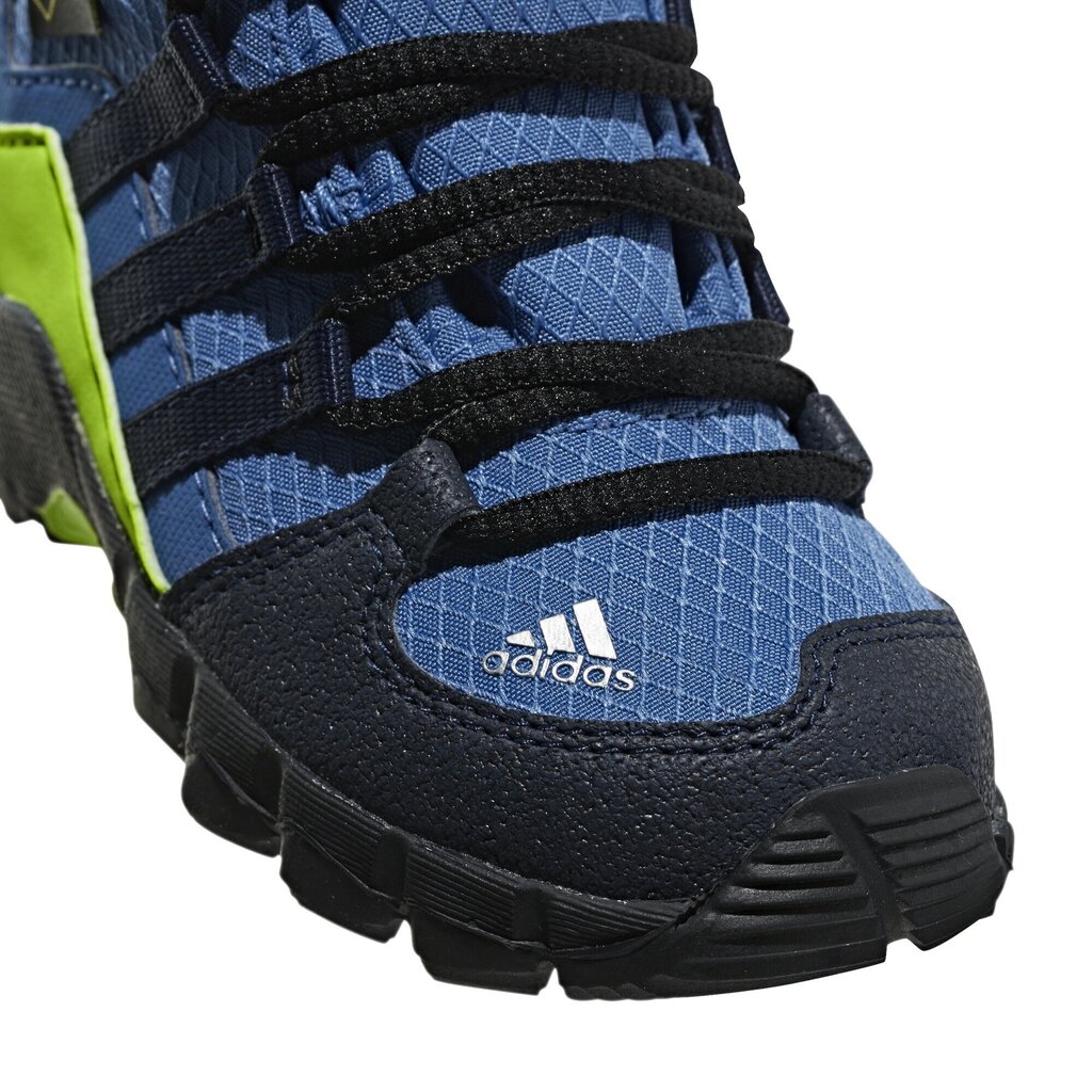 Jalanõud lastele Adidas Terrex Mid Gtx Blue цена и информация | Laste saapad | kaup24.ee