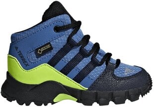 Adidas Детская обувь Terrex Mid Gtx Blue цена и информация | Детские сапоги | kaup24.ee