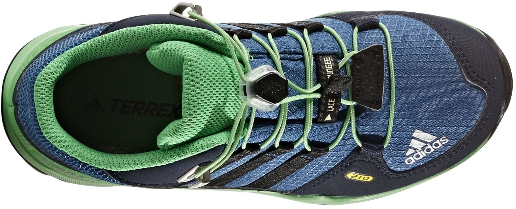 Jalanõud lastele Adidas Terrex Mid Gtx K Blue Green hind ja info | Laste saapad | kaup24.ee