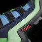 Jalanõud lastele Adidas Terrex Mid Gtx K Blue Green hind ja info | Laste saapad | kaup24.ee