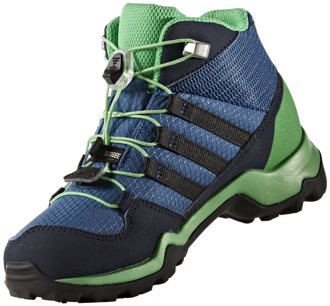 Jalanõud lastele Adidas Terrex Mid Gtx K Blue Green hind ja info | Laste saapad | kaup24.ee