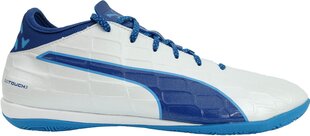 Детская обувь Puma Evotouch 3 IT White Blue цена и информация | Детская спортивная обувь | kaup24.ee
