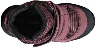 Adidas Детская обувь Cw Holtanna Snow Cf Pink цена и информация | Детские зимние сапожки | kaup24.ee