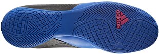 Jalanõud Adidas ACE 17.4 IN Black Blue цена и информация | Футбольные бутсы | kaup24.ee