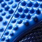 Jalanõud Adidas ACE 17.3 PRIMEMESH Black Blue цена и информация | Jalgpallijalatsid | kaup24.ee