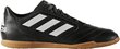 Jalanõud Adidas ACE 17.4 SALA Black hind ja info | Jalgpallijalatsid | kaup24.ee